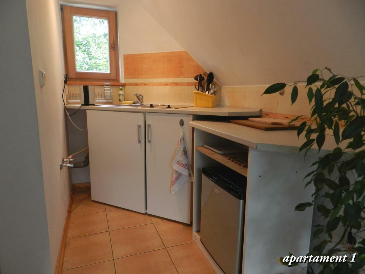 Apartamencik Z Widokiem Na Giewont Zakopane Luaran gambar